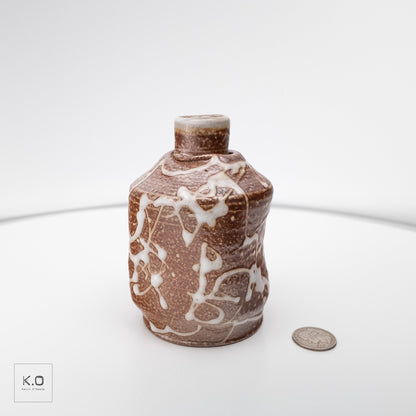 Bottle Vase 06