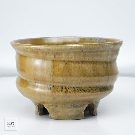 Bowls 19
